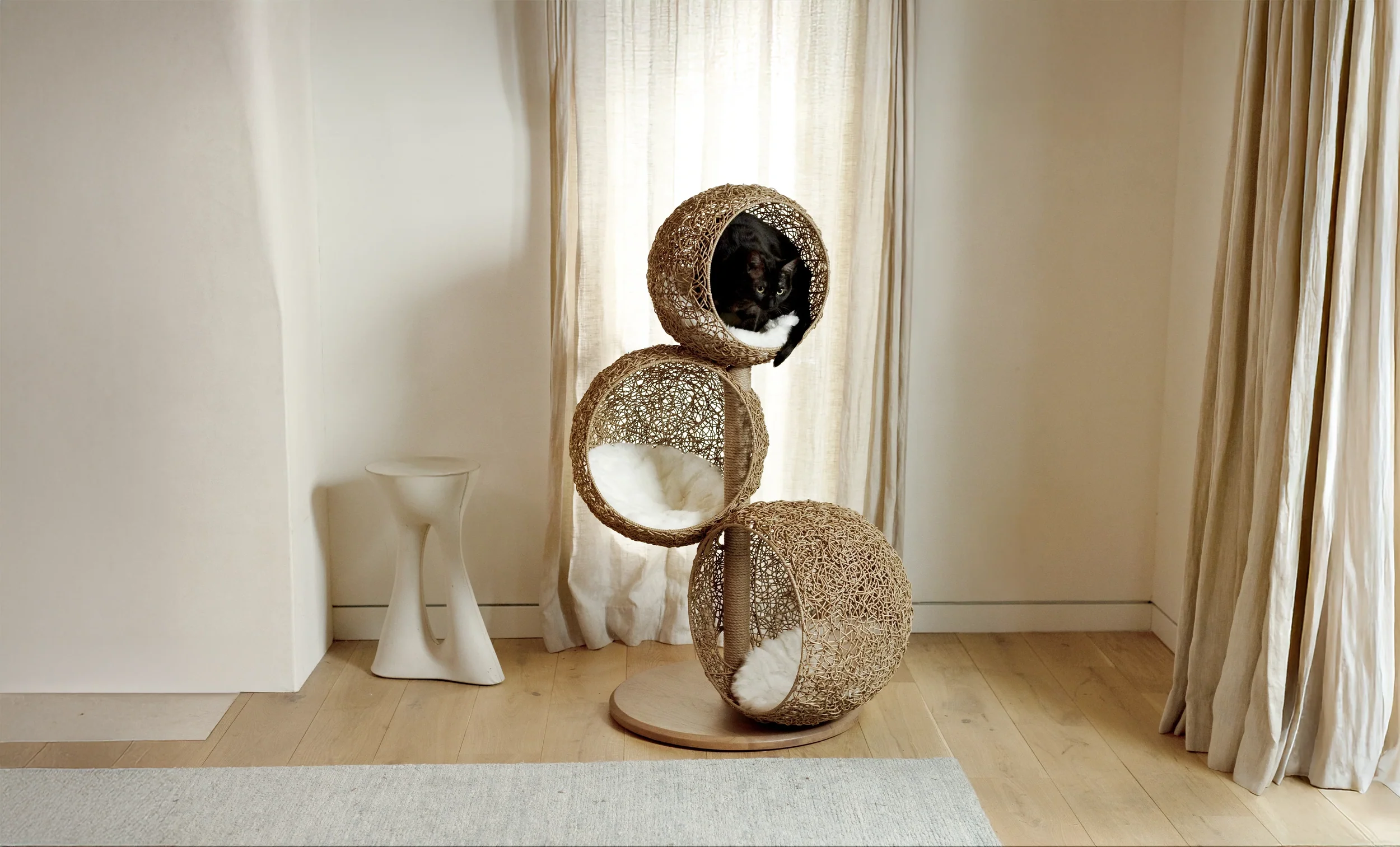 Elevate Your Home and Feline